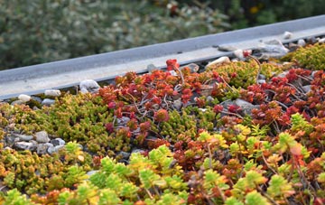 the cost of Pound green roof installation
