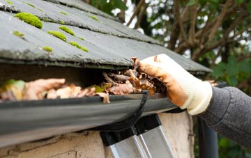 gutter cleaning Pound